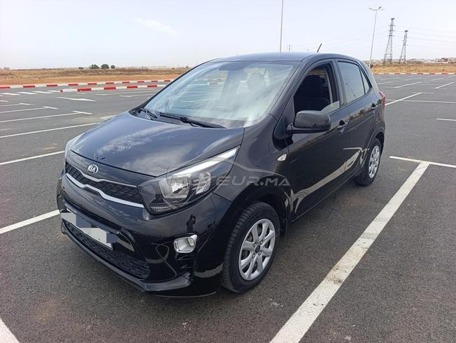 Picanto 2019