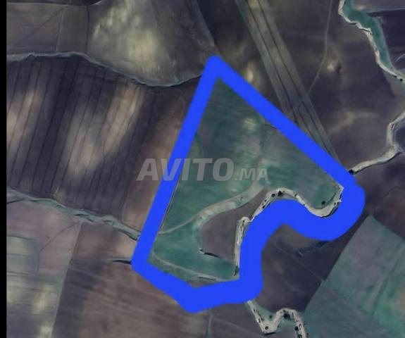 Terrain agricole - 2
