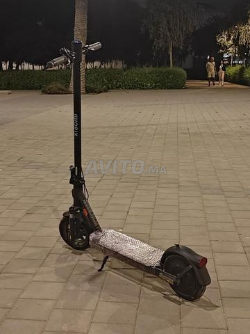 5111greatnest - 2