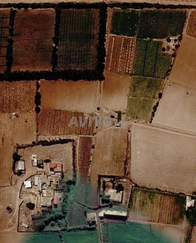 Terrain agricole avec puits - 2