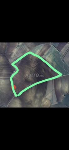 Terrain agricole - 2