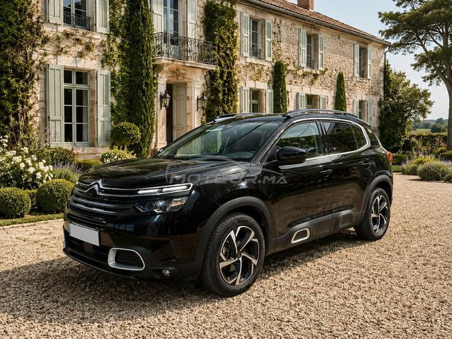 C5 Aircross BlueHDi Feel, plaque francaise.