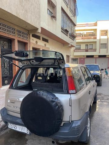 برشيد سيارة نقية - 2