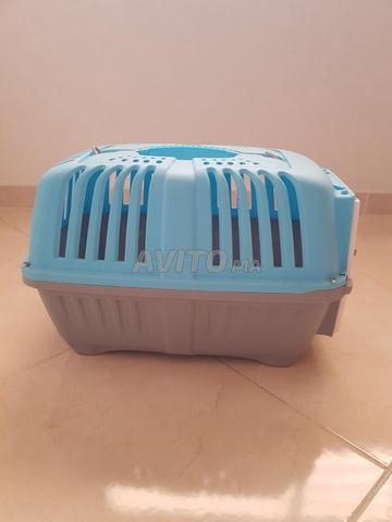 Cage pour chat neuve - 2