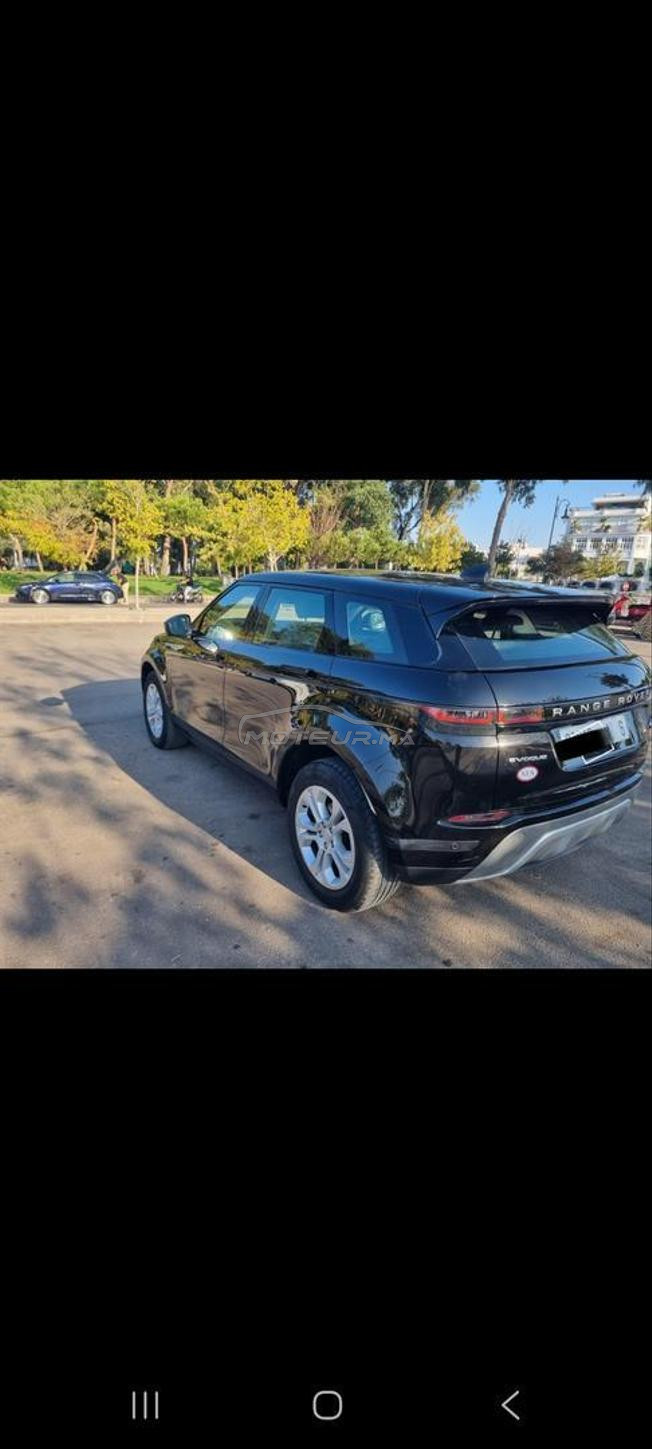 Bébé Velar 