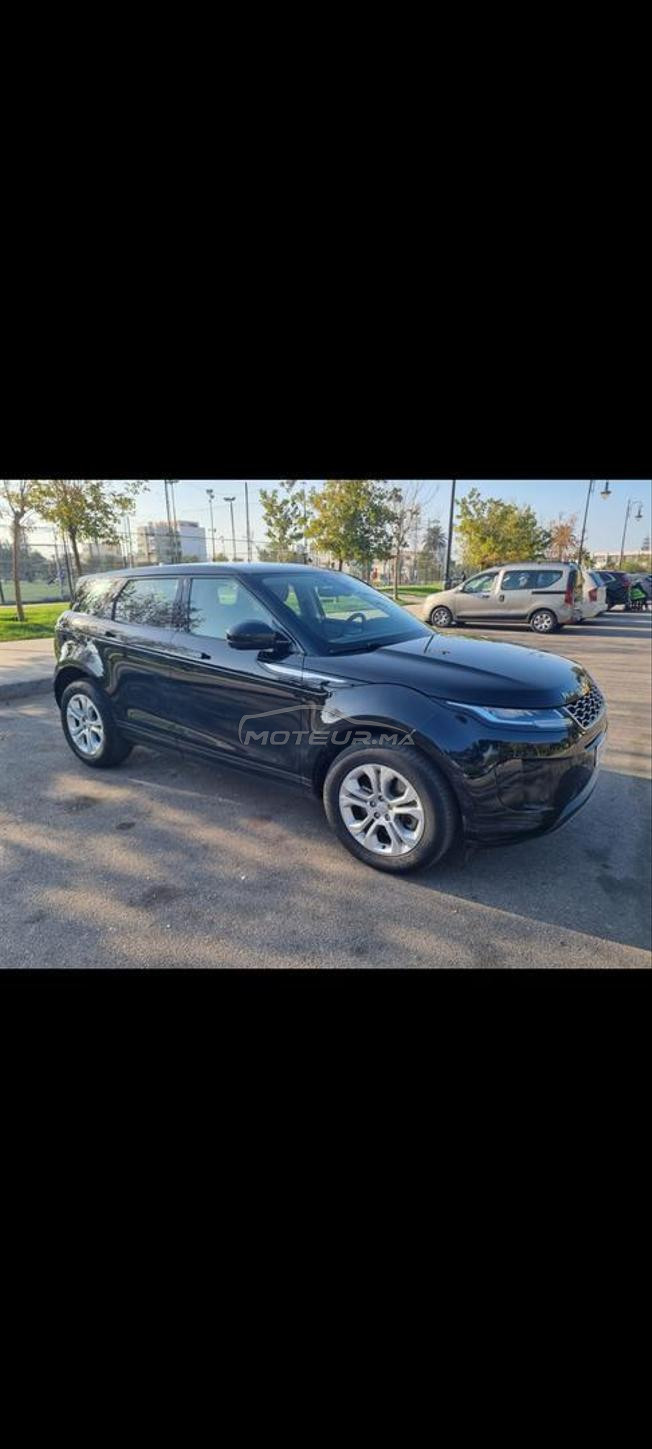Bébé Velar 