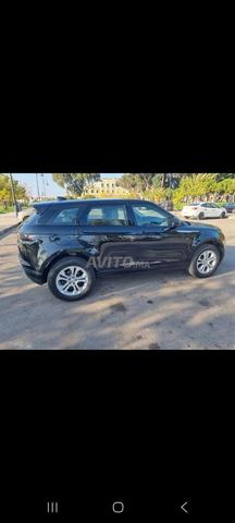 Bébé Velar - 2