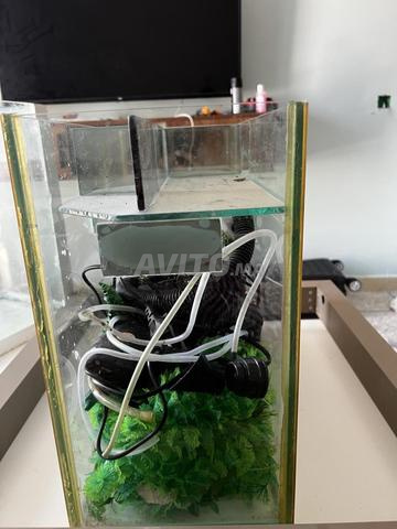 Aquarium Aquarium - 2