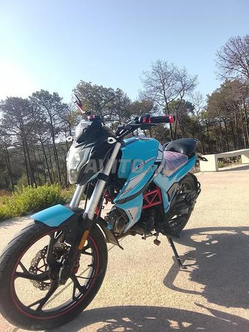 Moto cimatti à bon prix - 2