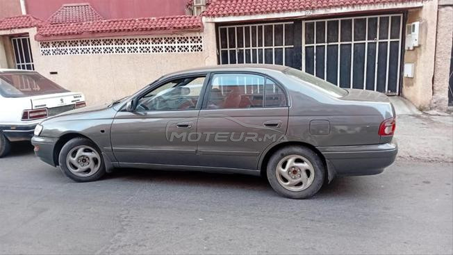 بوركون حدا المعونة الحارة