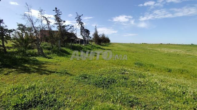 أراضٍ محفظة بمنطقة بير جديد للسكن والاستثمار - 2