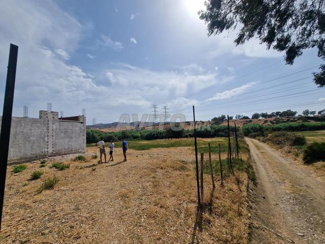 طنجة تطوان - 2