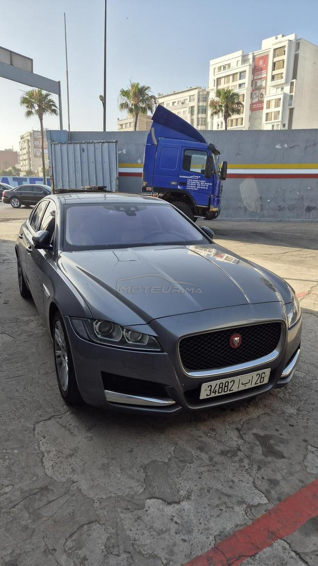 Jaguar XF 2016 diesel 