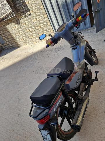حي عقبة بن نافع - 2