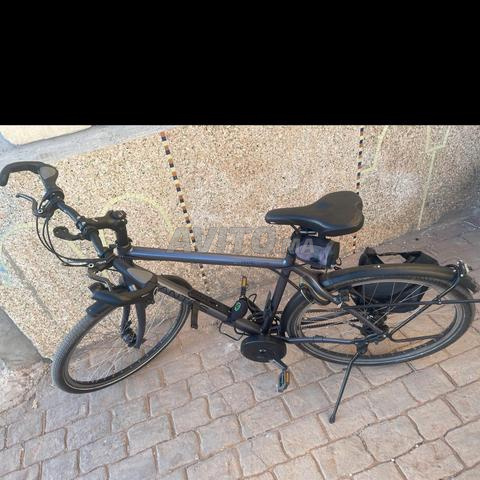 Vélo électrique sans batterie Travel Lite Santos - 2