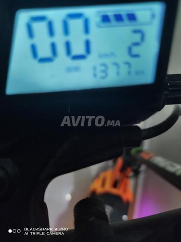 Bison GT 1000W avec sac et pneus tubeless - 2