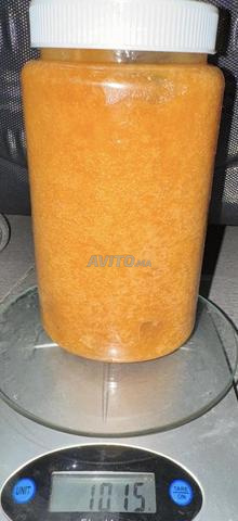 🍯 Miel de caroubier naturel – 1 kg