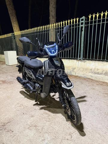 Moto 33 - 2