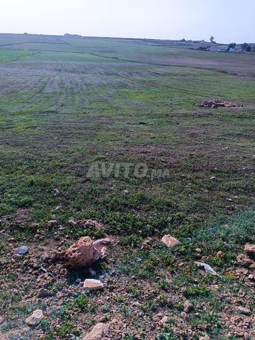 أرض مسجلة 14199م2 مع بئر - 2