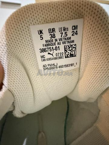 Puma en 38 - 2