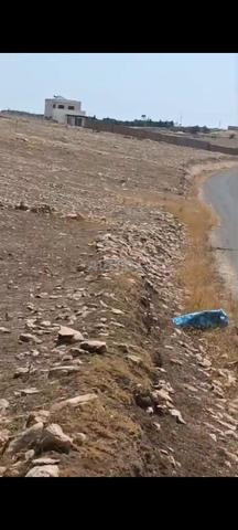 أرض مسجلة 7500م2 على الطريق المعبدة - 2