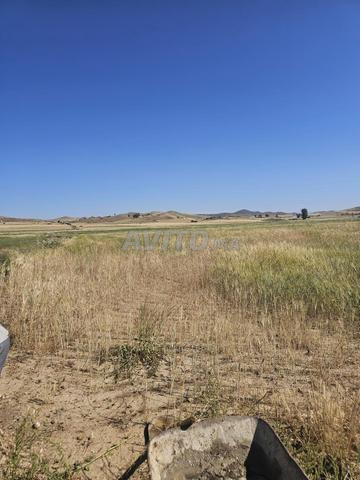 Terrain agricole titré à vendre