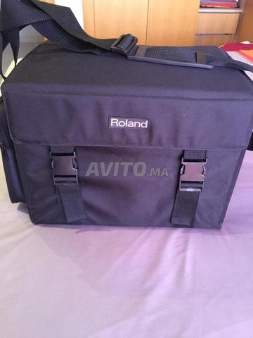 Ampli Roland - 2