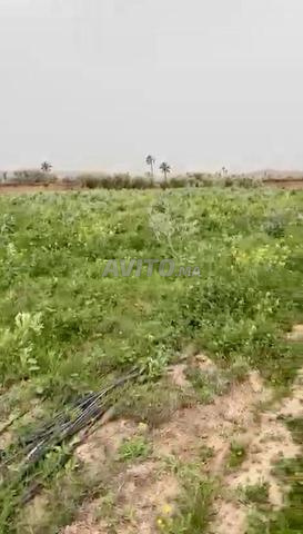 أرض مسجلة للبيع - طريق فاس، مراكش - 2