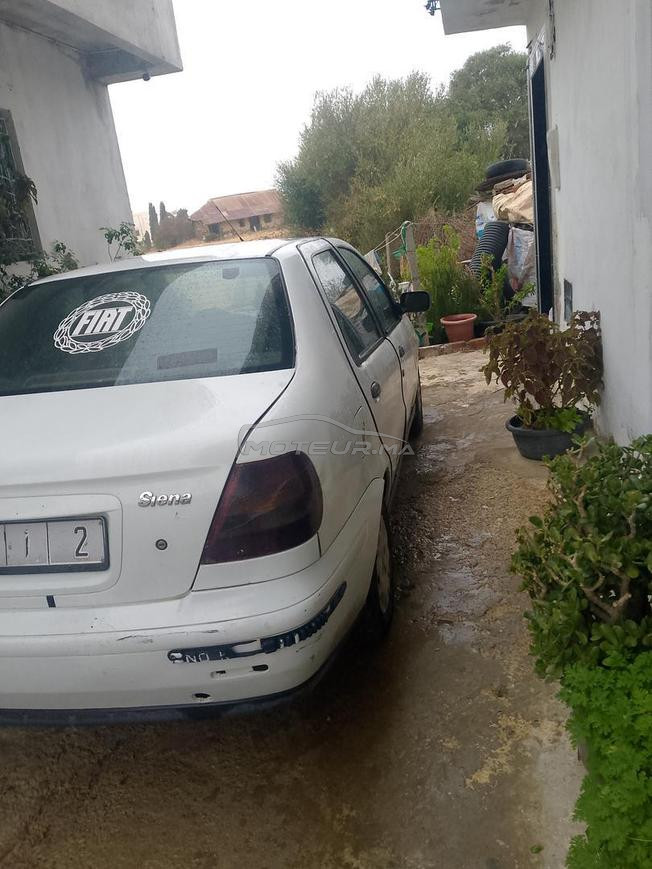 طنجة العوامة