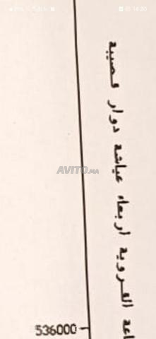 أربعاء عياشة - 2