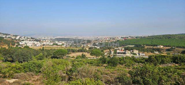 أرض للبيع مرخصة في بوبانا طنجة - 2