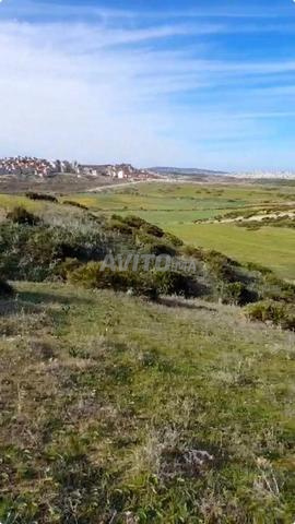 طنجة عزيب أبقيو