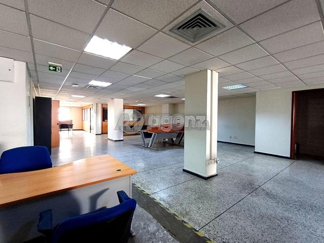 NEW-BUREAUPALMIER2 - Bureau à louer à Palmier