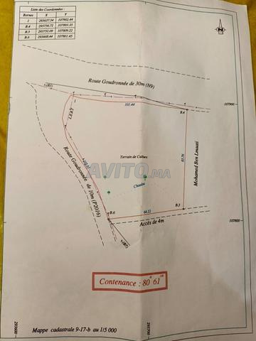 Vente terrain 8061 m² double façade - 2
