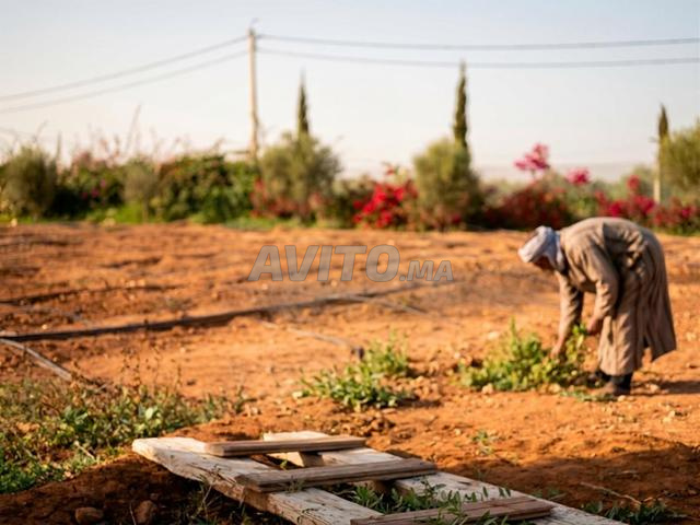 Terrain à vendre 2 600 m² titré avec permis de construire pour villa