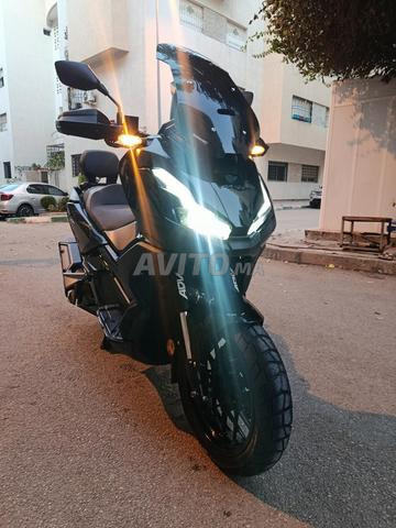 هوندا أدف 2025 - 2