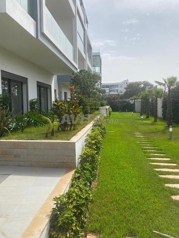 appartement californie - 2