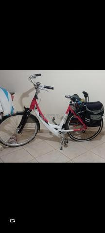 Vélo Gazel Sparta ion