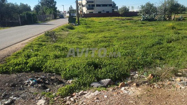 بقعة أرضية ومنزل على الطريق بمساحة 1200 متر مربع