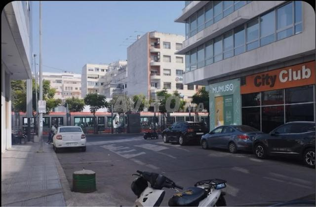 استوديو مفروش جديد مع موقف سيارات
