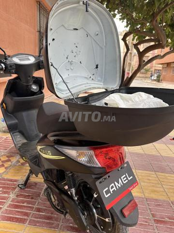Motos à vendre - 2