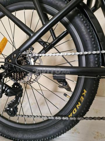 Vélo cargo pro - 2