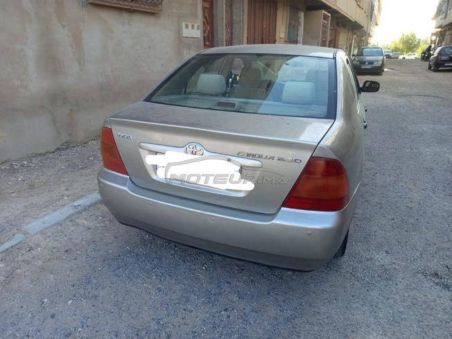 مراكش  مدينة 