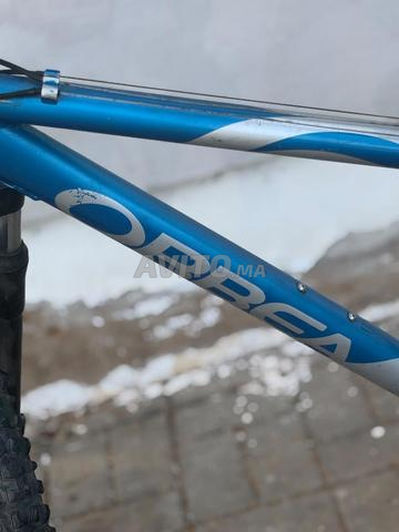 VTT ORBEA Bleu/Gris Suspension - 2