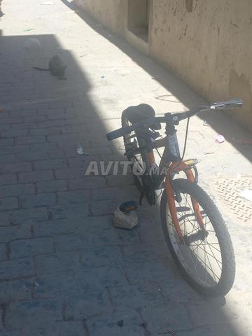 oawama ta.ger - 2
