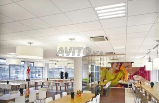 70M2 FP ARMSTRONG BIOPLAC 60CM/60CM - 2