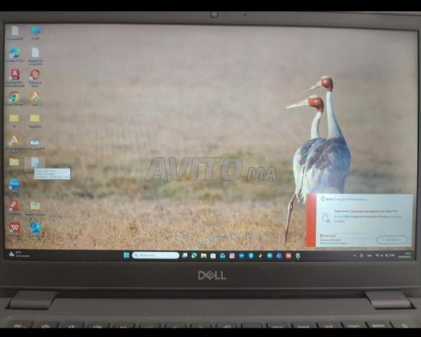 PC Portable Dell Latitude 3410 i5 16Go RAM 500Go