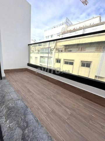 Top studio Palmier - 2