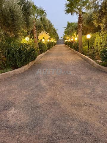 Domaine des Oliviers | Piscine privée & Oliveraie