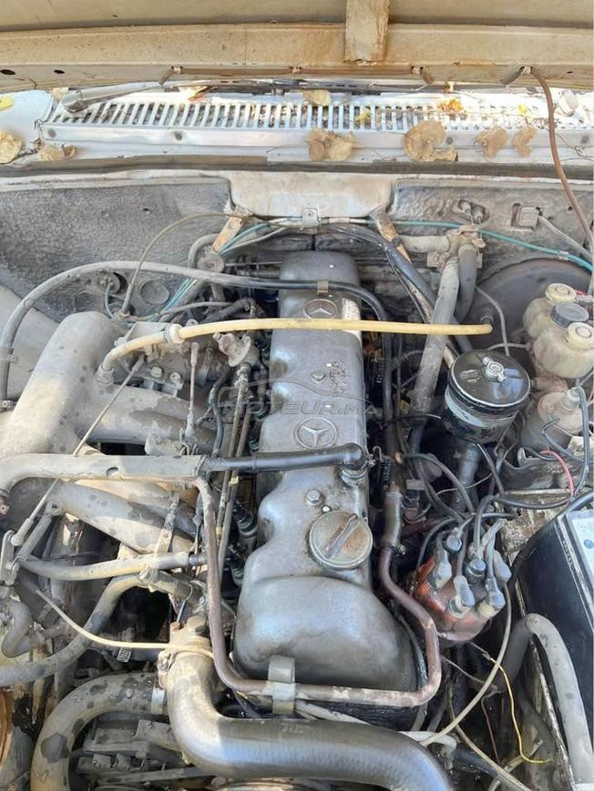 مرسيديس CE 250